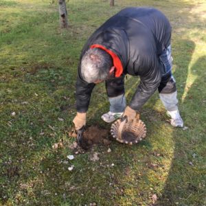 cavage à Ribérac