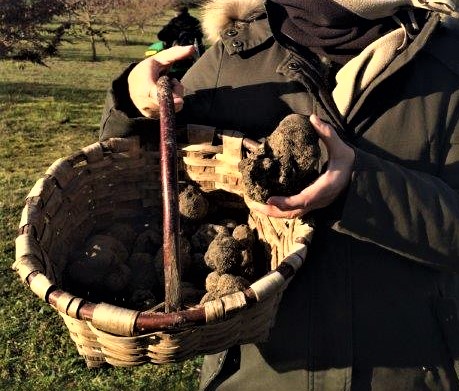 panier de truffes du perigord